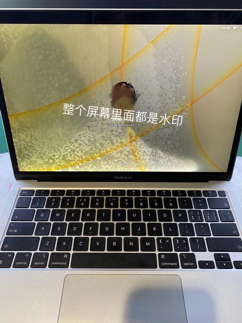 北京维修笔记本背光屏幕